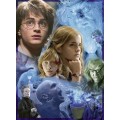 Puzzle de Harry Potter de 500 piezas en Howarts