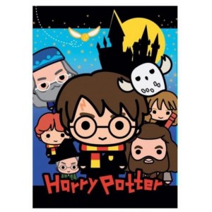 Manta polar de Harry potter con dibujos de todos los personajes suave